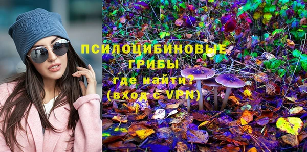 ешки Сафоново