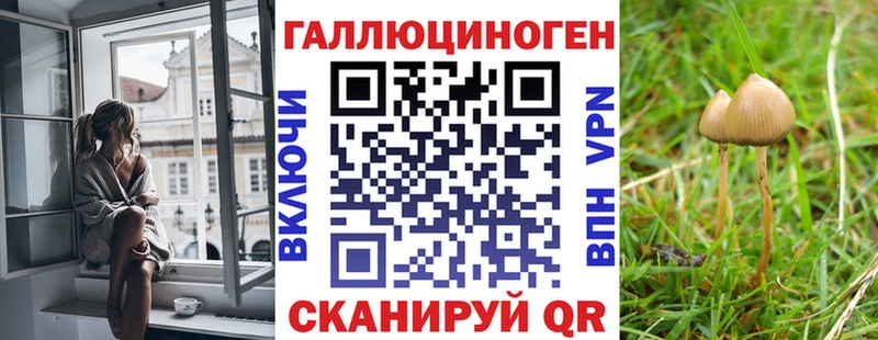 это телеграм  хочу   Зубцов  Галлюциногенные грибы прущие грибы 